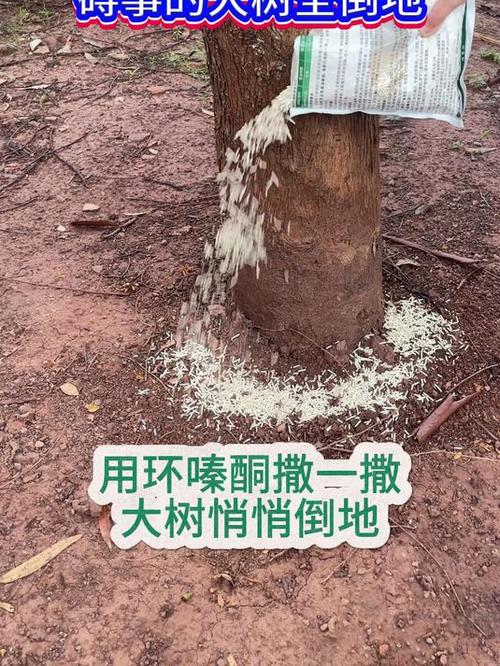 灭大树的药是什么药 灭大树的药是什么药