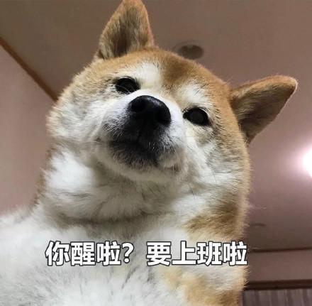 上班呀图片表情