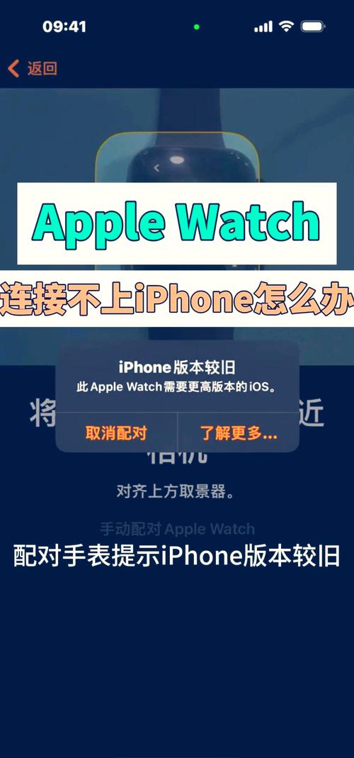 苹果手表无法接入互联网
