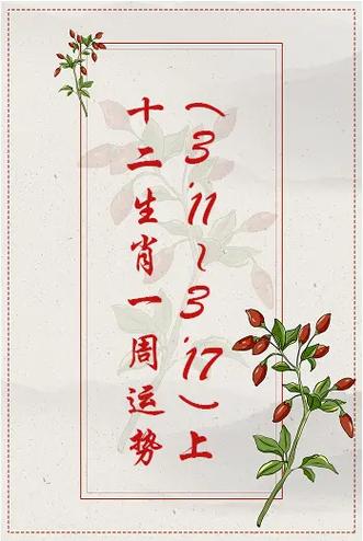灵机十二生肖运势