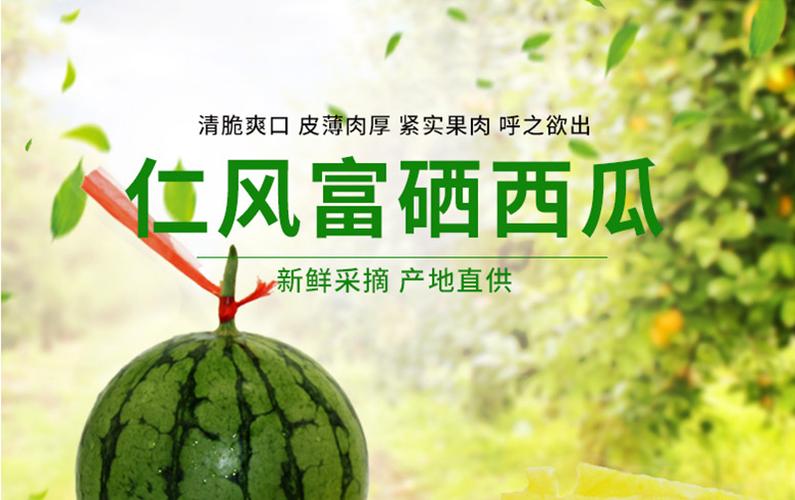 西瓜的详细介绍