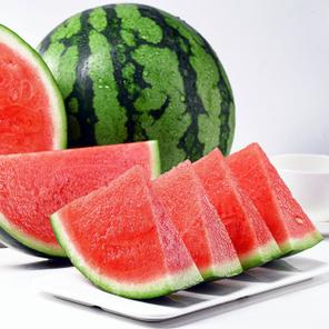 西瓜的详细介绍截图3
