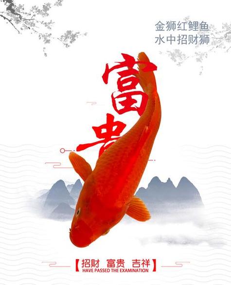 江西红鱼 江西红鱼