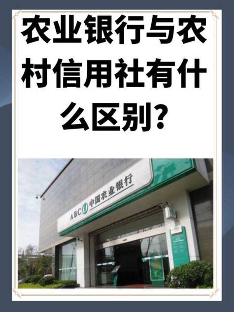 农村信用社也叫农村商业银行吗