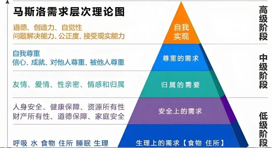 需要层次论是谁提出的