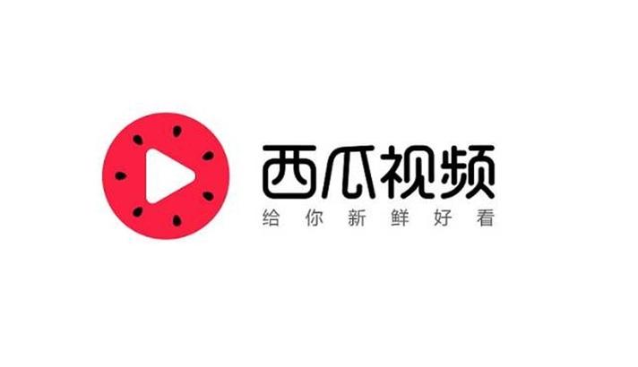 西瓜视频极速版截图3