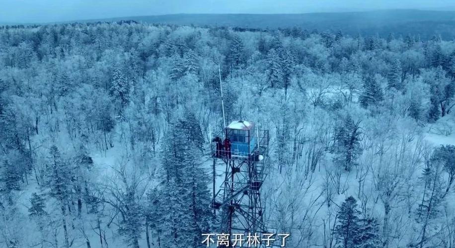 双探 电视剧 在线观看