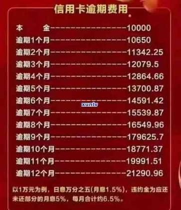 一万分期12月利息多少