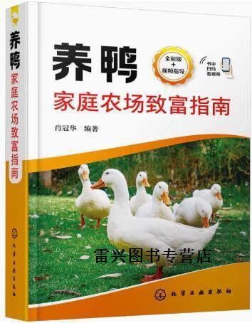 养100只鸭子利润