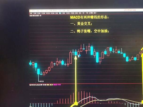 周线macd截图3