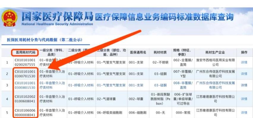 医保收费编码目录查询