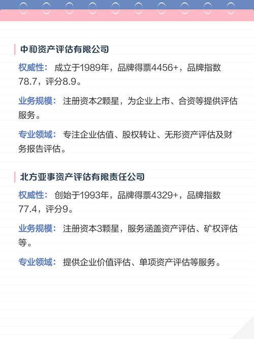 中国十大评估公司