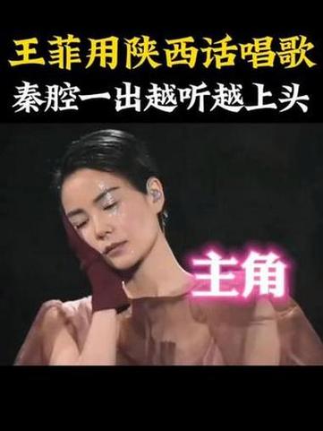王菲陕西话献唱截图2