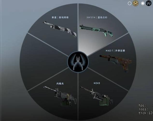 csgo枪名字大全截图3