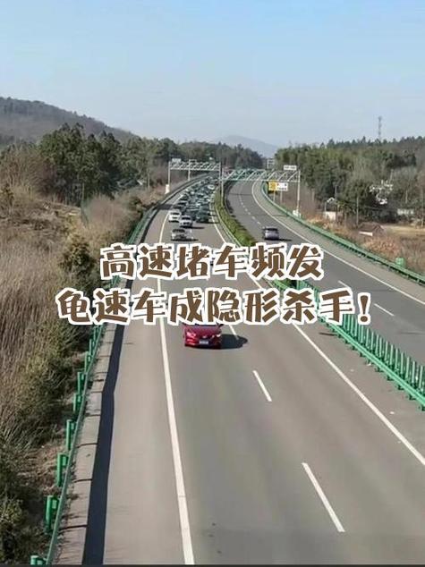 小雷音高速好还是龟速好