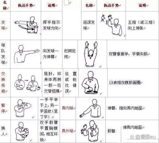 气排球裁判证在哪报名