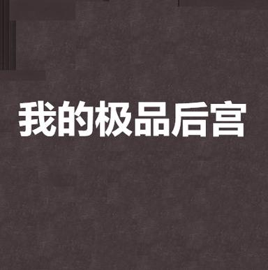 我的极品后宫千千小说
