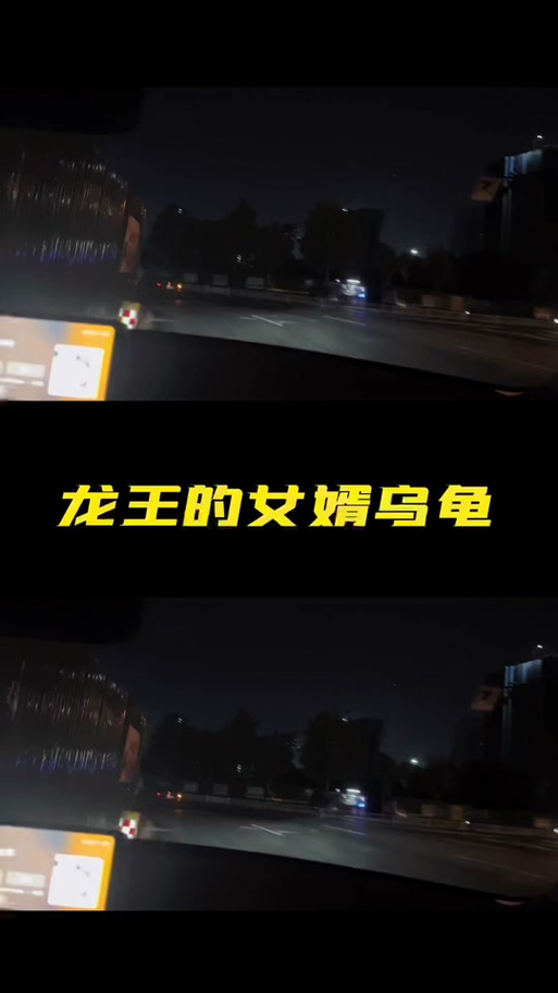 龙王招女婿的寓意截图3