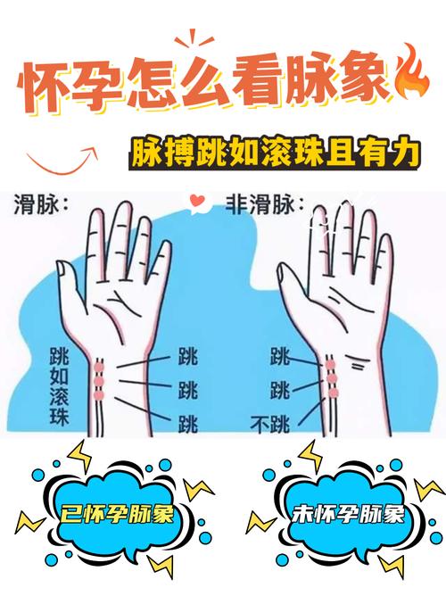 把脉怎样看怀孕