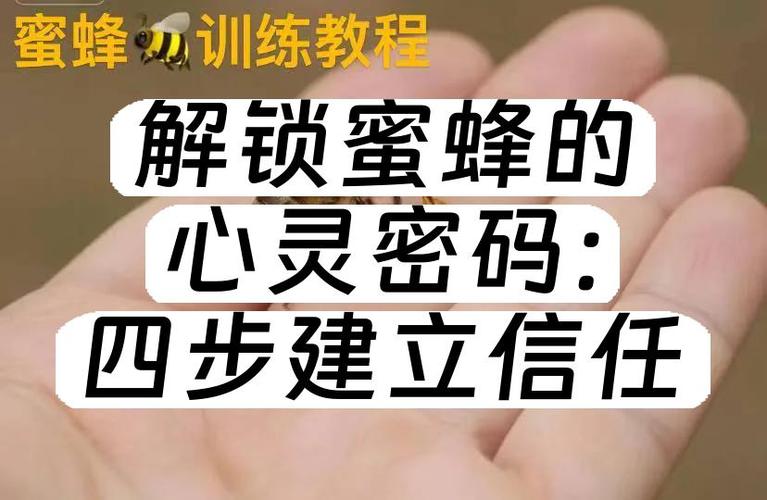 男朋友把手机密码告诉我了,代表啥