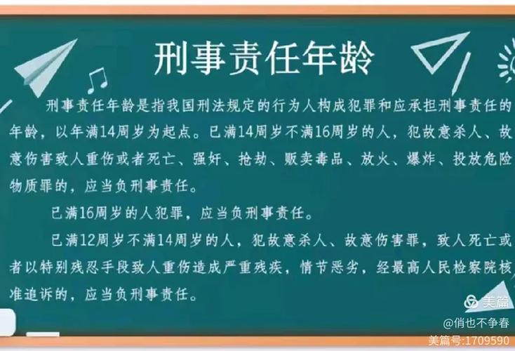 17岁刑事案件怎么处理截图3