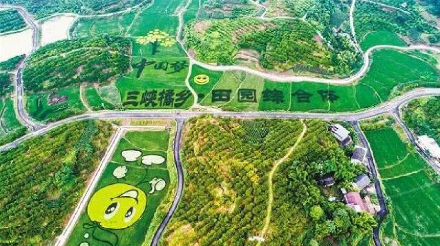 柑橘主要产于什么地区