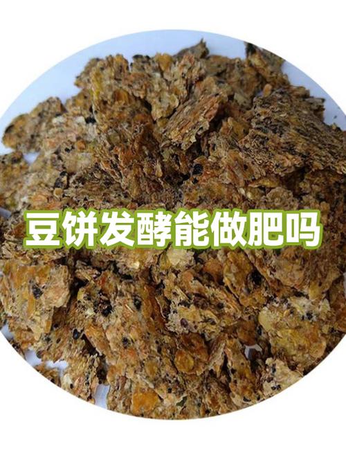 做发酵肥黄豆好还是豆饼好