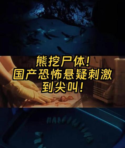 国产十大必看悬疑电影