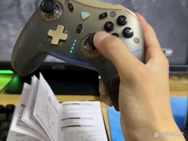 switch手柄可以热插拔吗