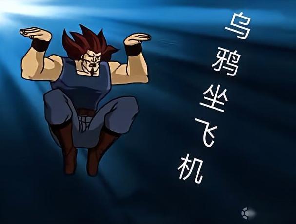 乌鸦坐飞机特殊意思
