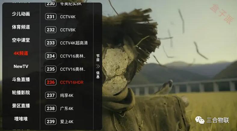 火星影视网页版