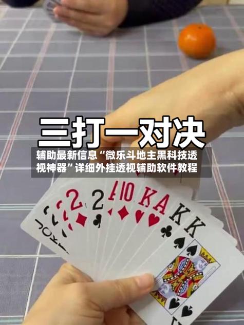 微乐斗地主(透视)