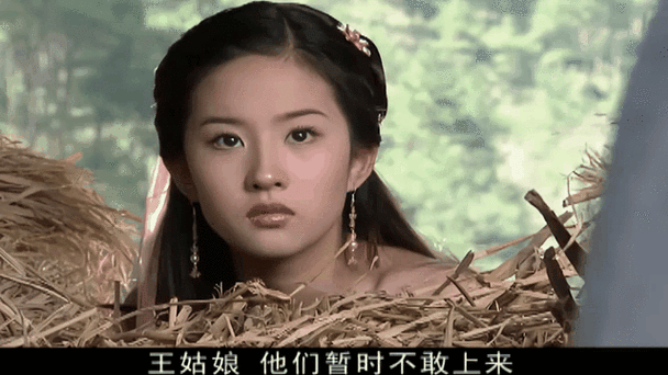 王语嫣外传(下)