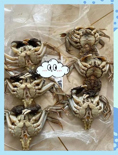 死了的螃蟹能吃吗