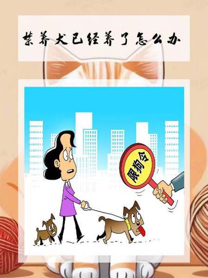 “好男不养猫,好女不养狗”