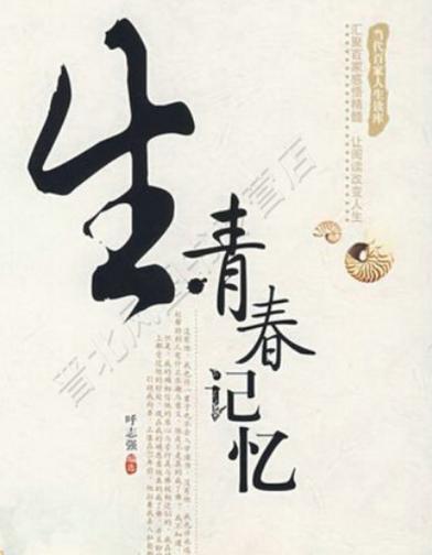 我的青春