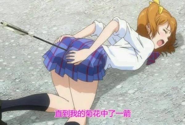 菊花千年杀女生