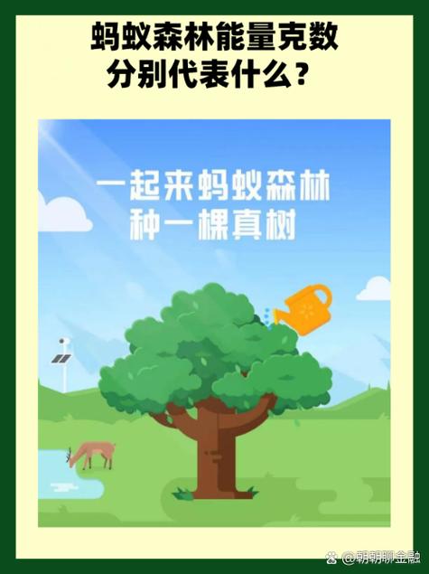 蚂蚁森林看电影多少能量截图2