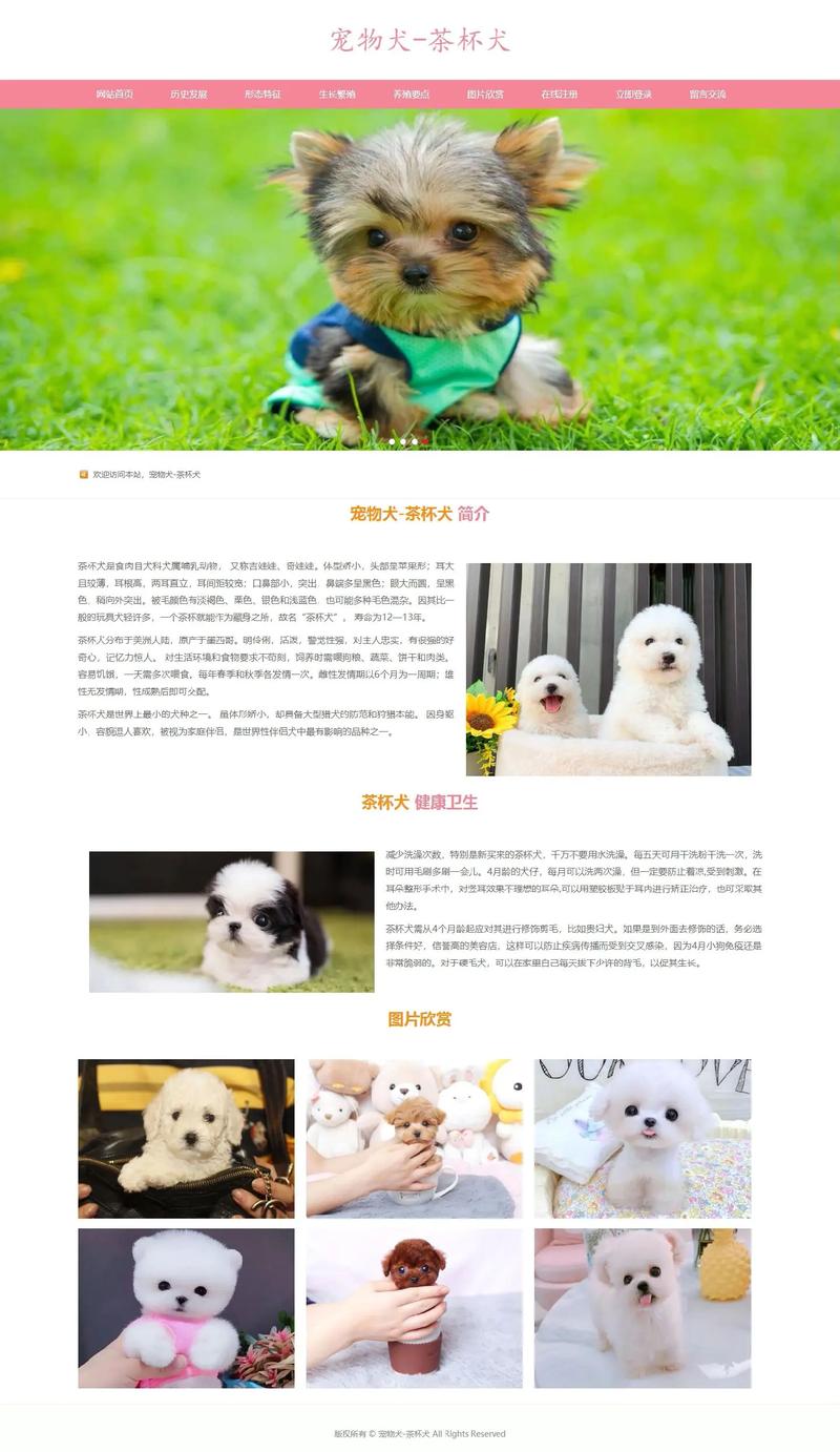 狗狗书籍网站截图2