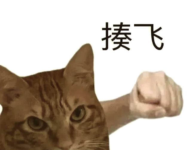 疯的表情图片