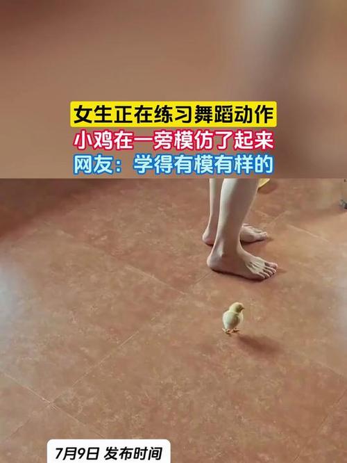 谁敢看女生的小鸡