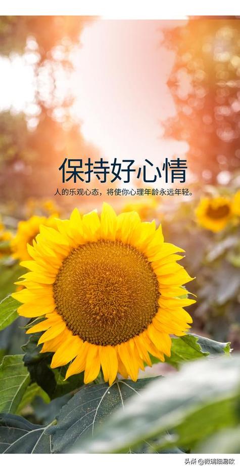 好心情源于好心态