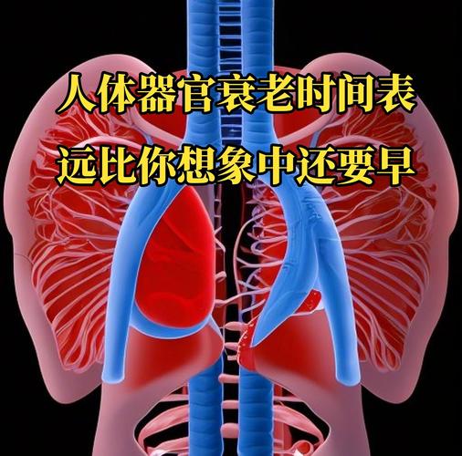 百度年龄计算器官网