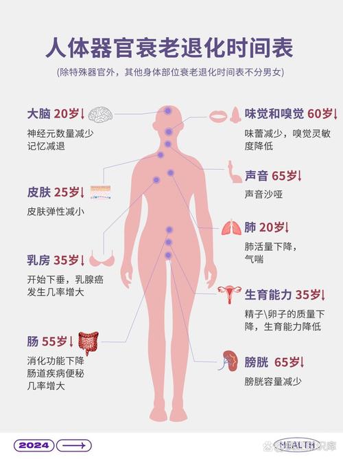 百度年龄计算器官网截图2