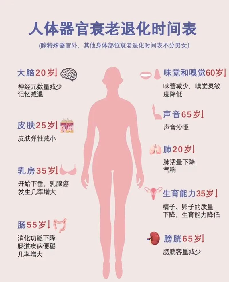 百度年龄计算器官网截图3