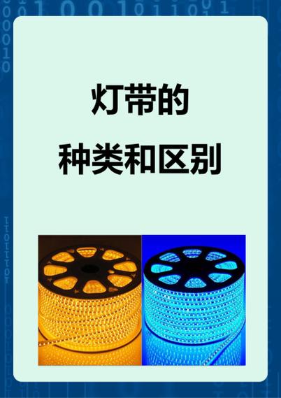 种和类的区别