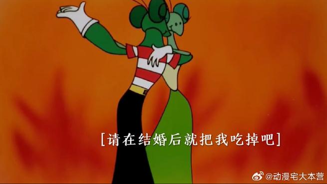 黑猫警长中螳螂夫妻的隐藏真相截图1