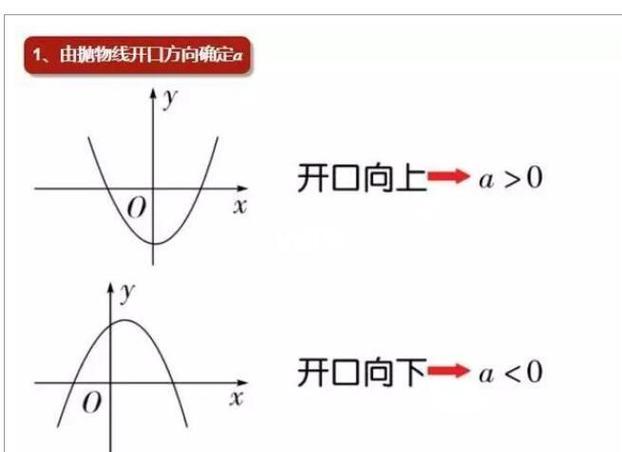 用二次函数骂人