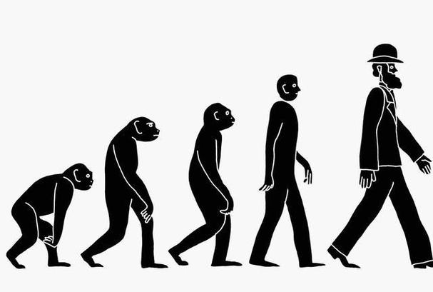 人类进化
