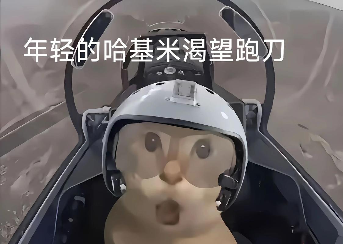 哈基米直装